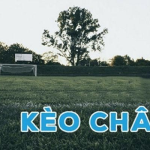 So sánh các chiến thuật bắt kèo châu Á qua bảng tổng hợp